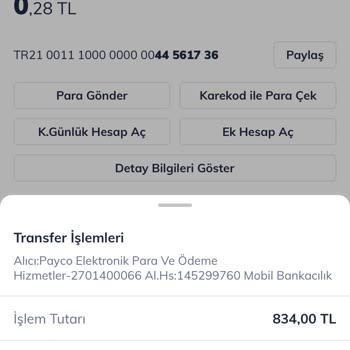 Payco Hesabına Aktarılan Paranın Gecikmeli İşlemi Ve Müşteri Hizmetleri Sorunu