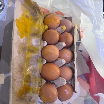 Kırık Yumurtalar Ve Yetersiz İade Süreci Nedeniyle Mağduriyet