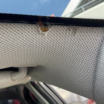 Cam Değişiminde Oluşan Hasar Ve Servis İlgisizliği