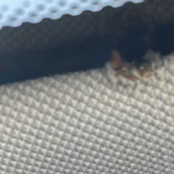 Cam Değişiminde Oluşan Hasar Ve Servis İlgisizliği