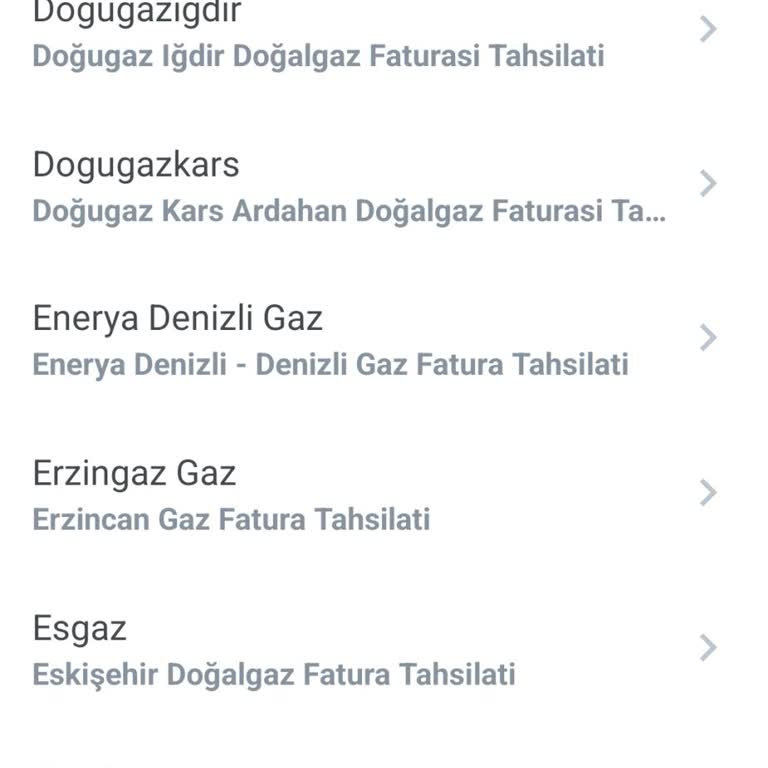 PTT Bank Mobil Uygulamasında Bitlis Doğalgaz Faturası Ve EFT Sorunu