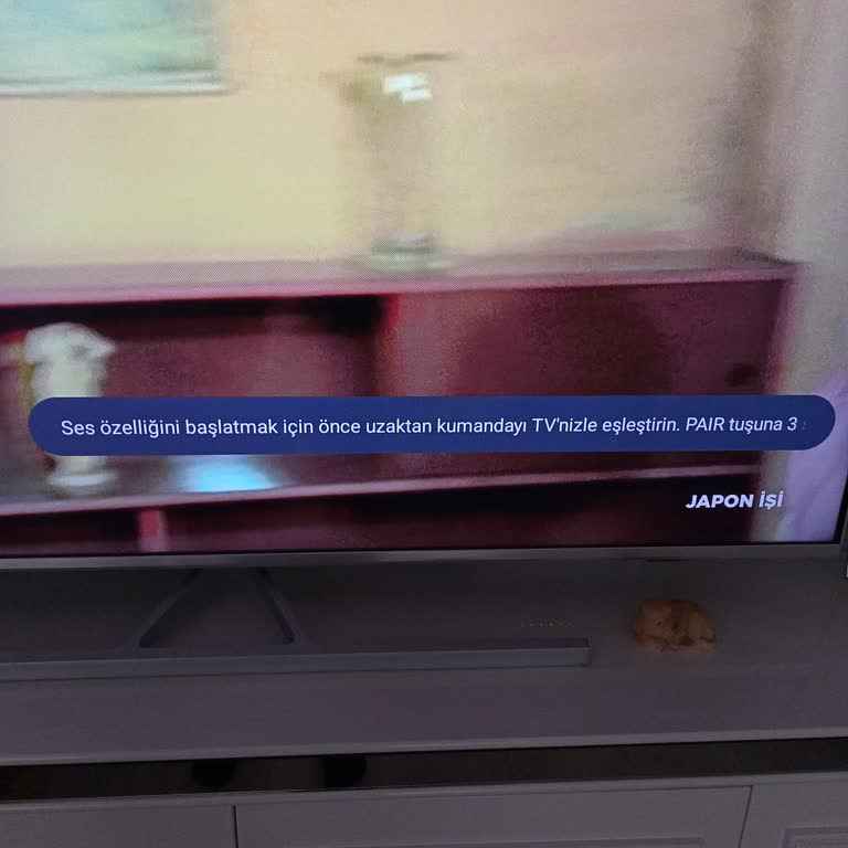 Televizyonda Wi-Fi Ve Sesli Komut Sorunu Çözülmüyor