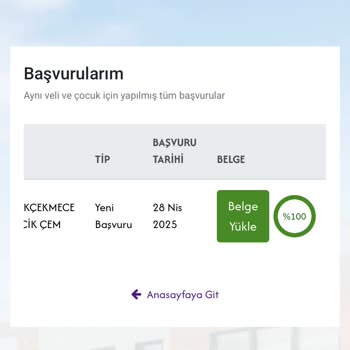 Kreş Başvuru Belgelerim Onaylanmıyor, Başvuru Süreci Aksıyor
