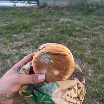 Burger King'den Küflü Ekmekli Hamburger Satışı Ve Sağlık Riski