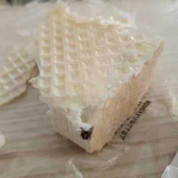 Selinay Şekerleme Gofretli Koz Helvada Sinek Çıkmasıyla Yaşadığım Şok