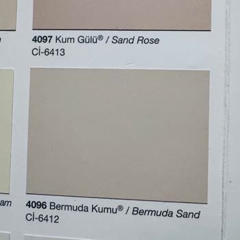 Katalog Rengiyle Duvardaki Boya Arasında Büyük Fark Yaşadım