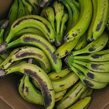 Bozuk Ve Kararmış Muzlar, Yetersiz Müşteri Hizmeti