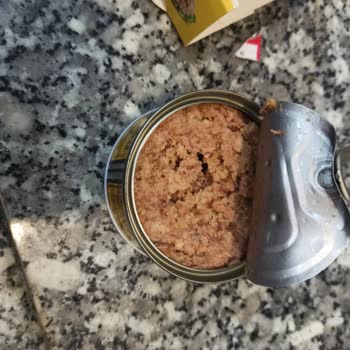 Son Kullanma Tarihi Geçmemiş Ürün Bozuk Çıktı