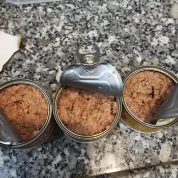 Son Kullanma Tarihi Geçmemiş Ürün Bozuk Çıktı