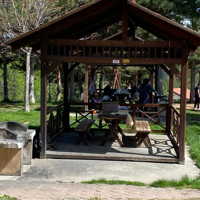 Piknik Alanlarında Haksız Yer Tutma Sorunu