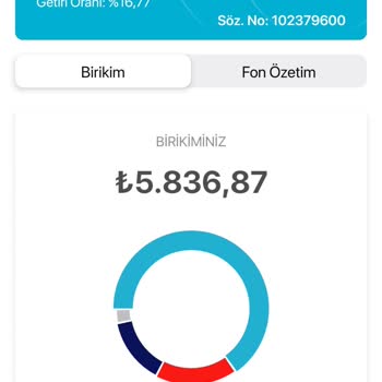BES Cayma Sürecinde Yüksek Aidat Kesintisi Ve Ödeme Sorunu