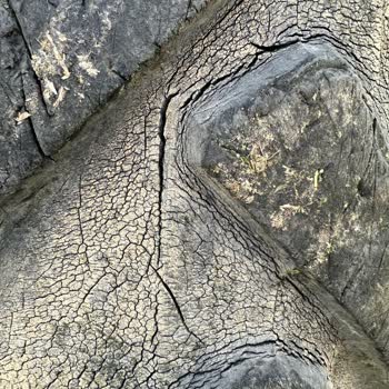 Tatko Lastiklerde Çatlak Sorunu Ve İlgisizlik