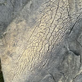 Tatko Lastiklerde Çatlak Sorunu Ve İlgisizlik