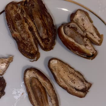 Nuve Dates Hurmanın Yarısı Kurtlu Çıktı