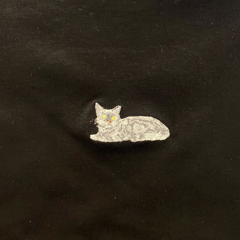 Kedi Baskısında Büyük Hayal Kırıklığı Ve İade Sorunu