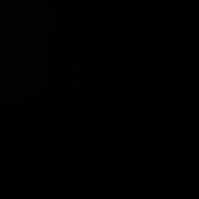 A101 Mağazasında Kedinin Varlığı Ve Personelin Sert Tutumu Babamı Mağdur Etti