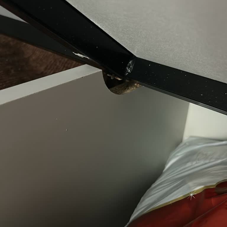 Modalife'dan Alınan Kusurlu Ürün Ve Ulaşılmaz Müşteri Hizmetleri Mağduriyeti