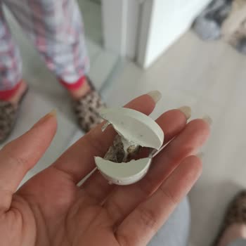 Servis Sonrası Makinem Daha Kötü Durumda Teslim Edildi