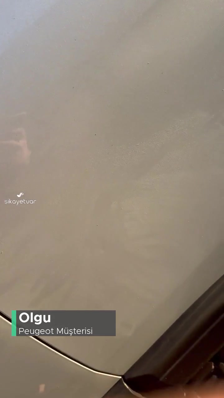 Peugeot Deniz Oto Yeni Sahra Araç Bakım Hüsranı! videonun kapak resmi