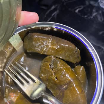 Bizim Vatan Konserve Yaprak Sarmasından Kıl Çıkması Ve Hijyen Sorunu