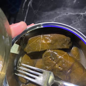 Bizim Vatan Konserve Yaprak Sarmasından Kıl Çıkması Ve Hijyen Sorunu