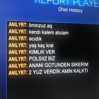 Çevrimiçi Oyunda Küfür Ve Hakaret İçeren Mesajlara Maruz Kalmak