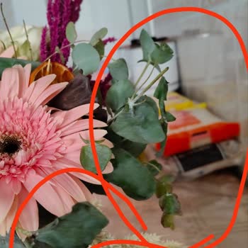 Anneler Günü Çiçeği Solmuş Ve Küflü Teslim Edildi, Mağduriyetim Giderilmiyor