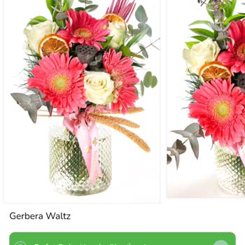 Anneler Günü Çiçeği Solmuş Ve Küflü Teslim Edildi, Mağduriyetim Giderilmiyor