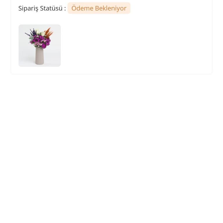 Ödeme Yapıldığı Halde Ürün Teslim Edilmedi Ve İade Gerçekleştirilmedi