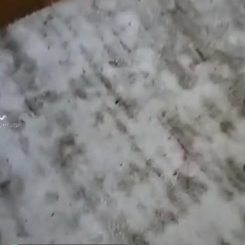 Angora Halıda Portlanma Sorunu