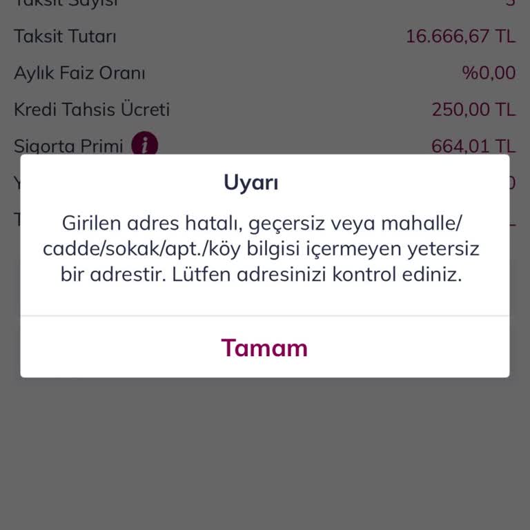 Faizsiz Kredi Başvurusu İş Adresi Hatası Ve Çözüm Eksikliği