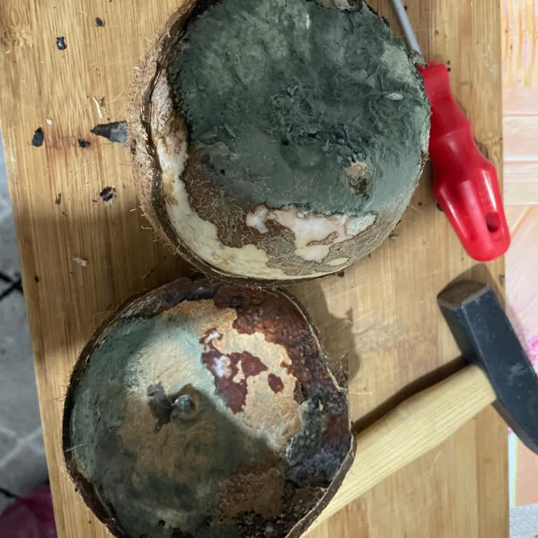 Onur Market'ten Aldığım Küflü Hindistan Cevizi Sağlığımı Riske Attı