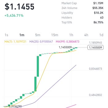 Binance Cüzdanımda Aldığım Tokenlar Neden Görünmüyor