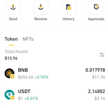 Binance Cüzdanımda Aldığım Tokenlar Neden Görünmüyor