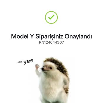 Tesla Model Y Siparişinde Yanlış Yönlendirme Ve Ücret İadesi Sorunu