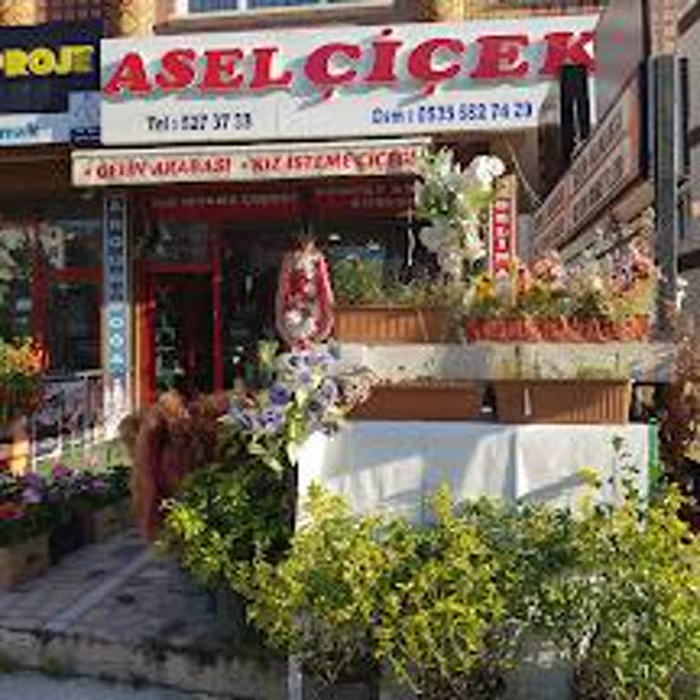 Asel Çiçekçilik (Pursaklar) Kartımızı Çocuklara Emanet Etmek İstemiyoruz