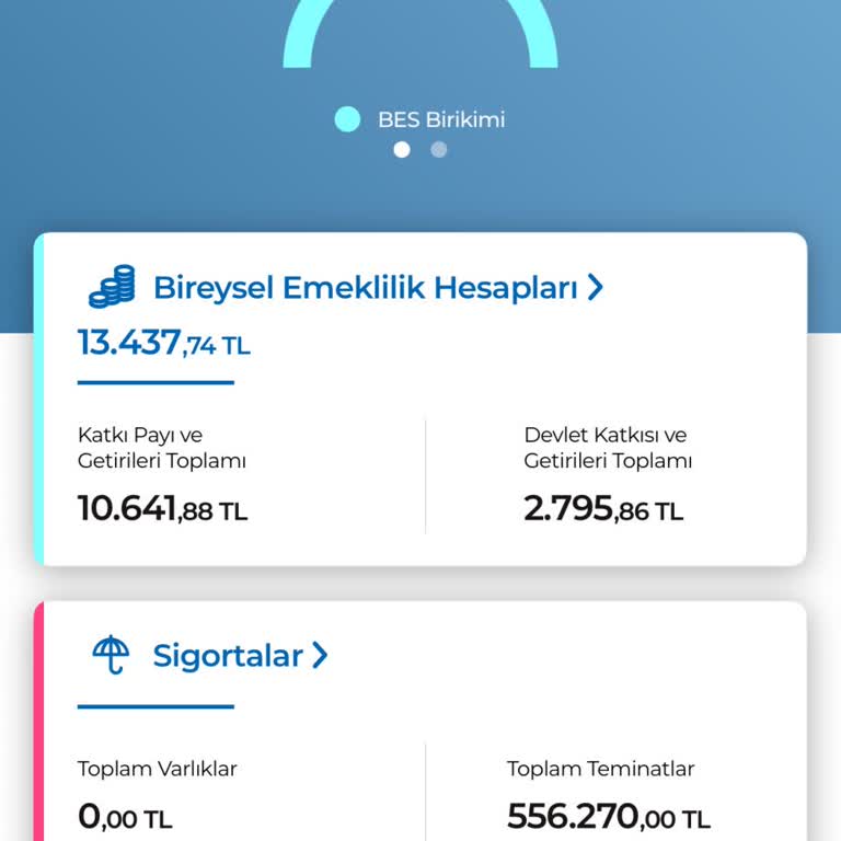 BES İptalinde Para İadesi Ve Bilgilendirme Sorunu