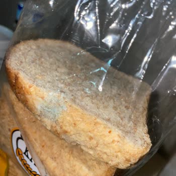 Başak Gıda Ekmecik Küflü Ekmek Sorunu!