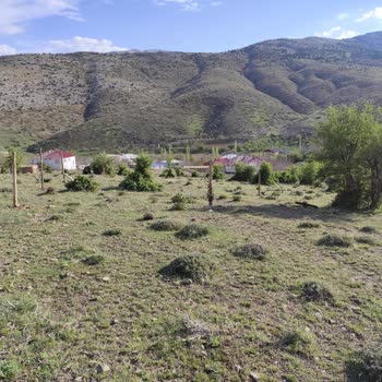 Köy Yolunun Tel Çitle Kapatılması Ve Hazine Arazisinin Sahiplenilmesi