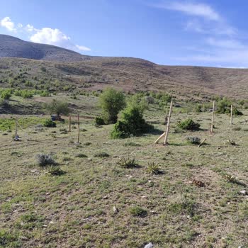 Köy Yolunun Tel Çitle Kapatılması Ve Hazine Arazisinin Sahiplenilmesi