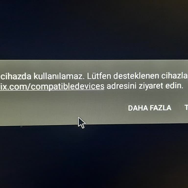 Onvo TVde Netflix Artık Çalışmıyor Çözüm Bekliyorum