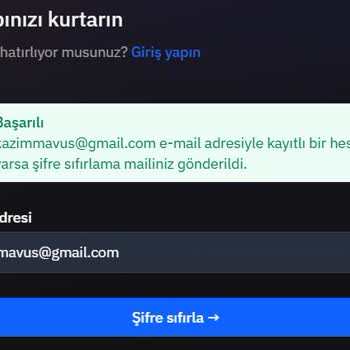 Hesabıma Erişemiyorum, Şifre Kurtarma Maili Gelmiyor