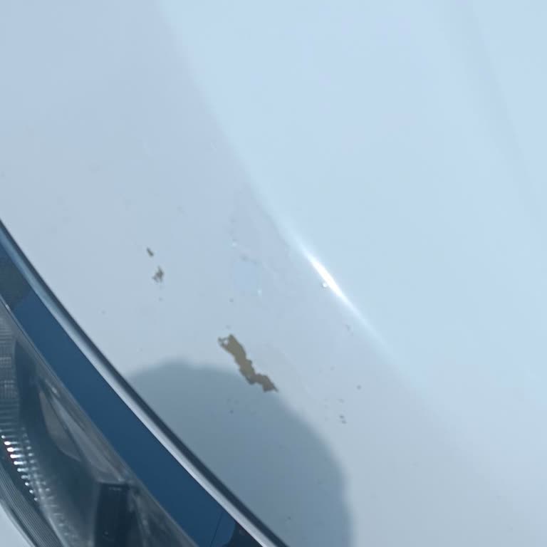 Oto Yıkamada Beklenmedik İlgisizlik Ve Boya Sorunu Yaşadım