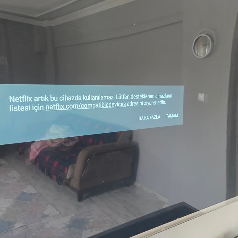 Onvo 165 Ekran Cihazda Netflix Desteği Aniden Kaldırıldı