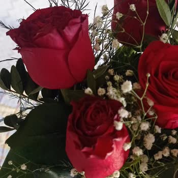 Anneler Günü'nde Hayal Kırıklığı: Siparişim Eksik Ve Özensiz Geldi