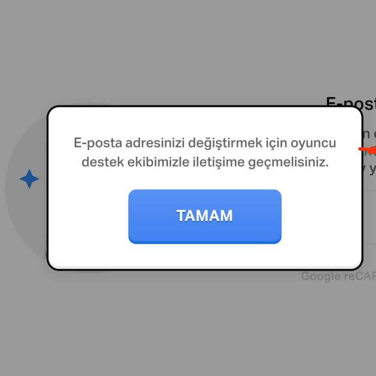 Oyun Hesaplarıma Erişemiyorum, Destek Ekibine Ulaşamıyorum