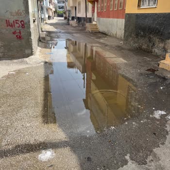 Sokakta 10 Gündür Taşan Kanalizasyona Müdahale Edilmiyor