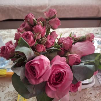 Anneler Gününde Gelen Özensiz Ve Alakasız Çiçekler Hayal Kırıklığı Yaşattı