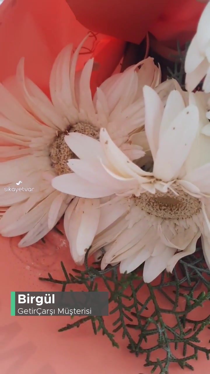 Getirçarşı Anneler Günü Mağduriyeti videonun kapak resmi