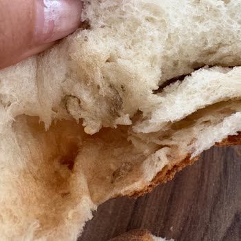 Happy Center'dan Aldığım Ekmekte Şok Edici Yabancı Madde!